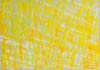 Luciano Menegazzi</br>Cisto marino tra le pietre d'Istria, cm 70 x 50